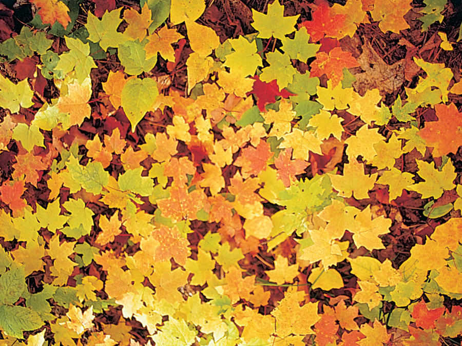 Fabulous Fall Hikes - Lake Superior Magazine