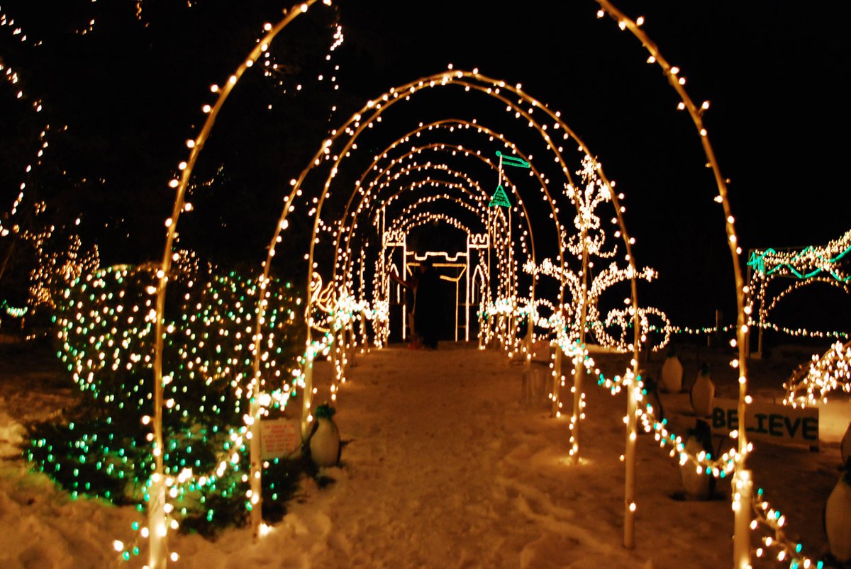 Marcia Hales Christmas Lights 2022 Follow The Cats: An Excerpt From “Spirit Of The Lights” - Lake Superior  Magazine